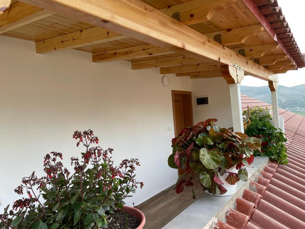 Guesthouse & Hospitality Berat Exterior foto
